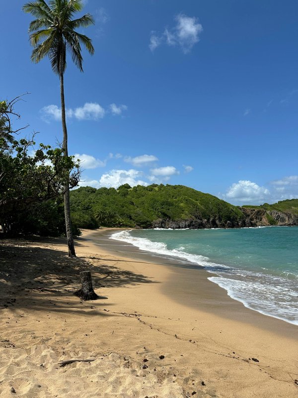 Photos de la Martinique : des idées cadeaux originales